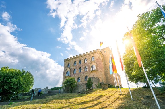 Gebäude auf Wiese mit Fahnenmasten